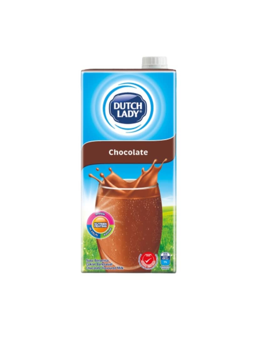 DUTCH LADY CHOCOLATE 24'S*200ML