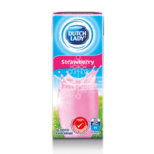 DUTCH LADY STRAWBERRY 12*1L