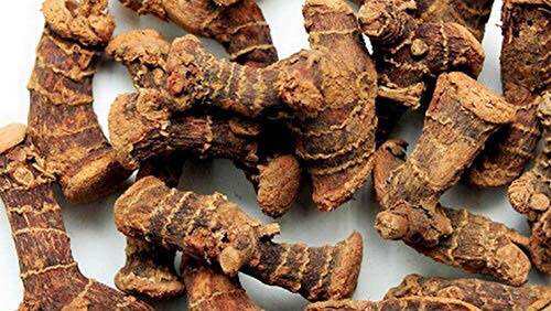 SITHARATTAI  (LENGKUAS)